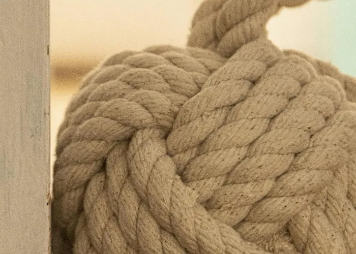 Apartment - Quadrilocale Le Mimose *