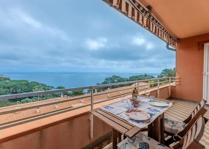 - Quadrilocale Le Mimose Apartment Capo D'arco