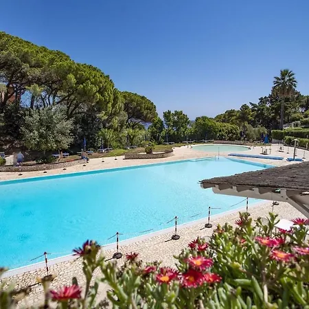 - Quadrilocale Le Mimose Apartment